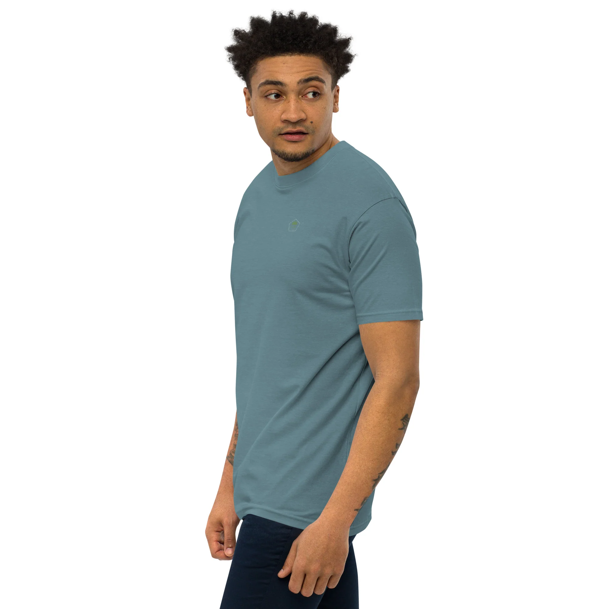 Alpscommerce Men’s premium heavyweight tee T-shirt - Image 10