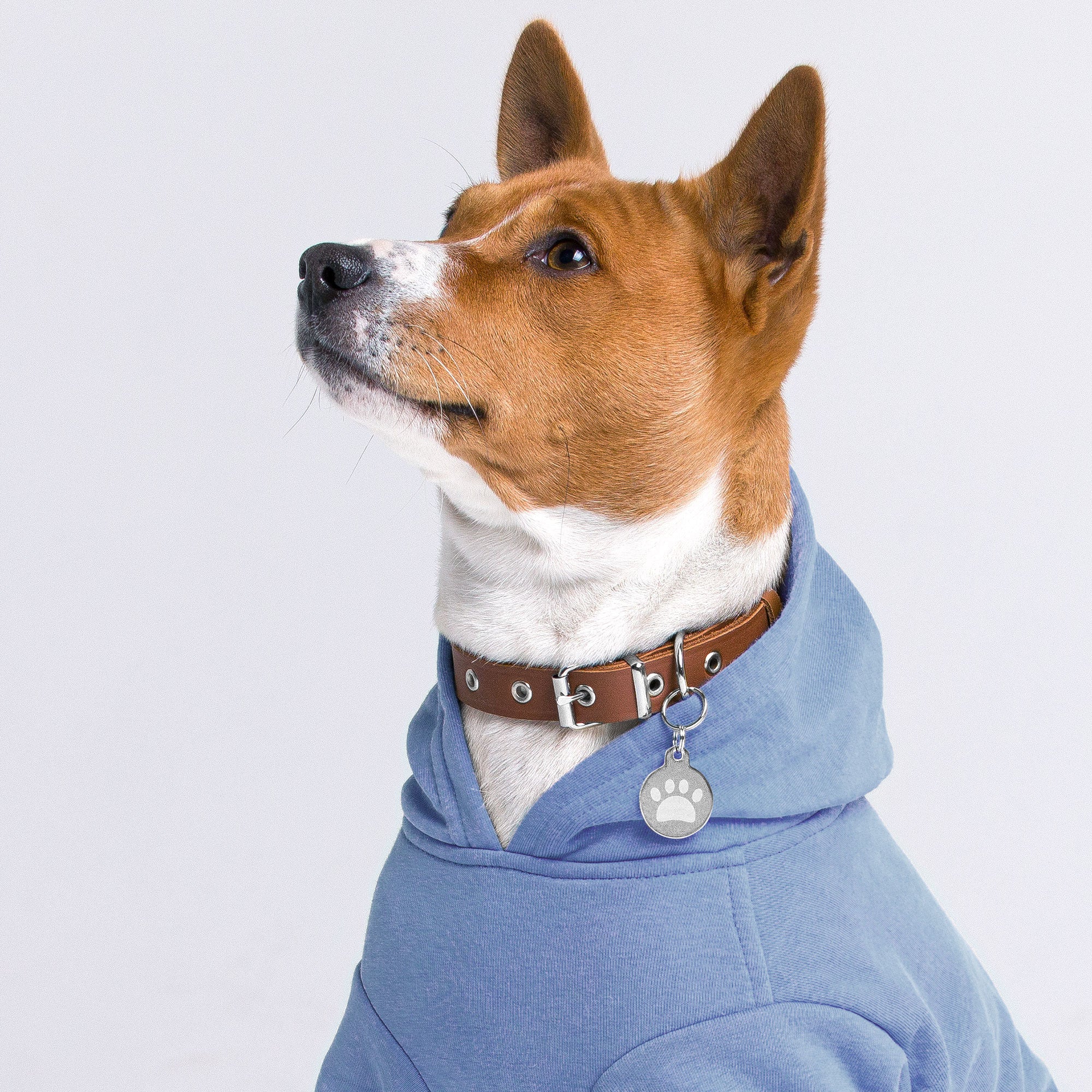 Engraved pet ID tag for Dog Cat tag  and pets - Image 3